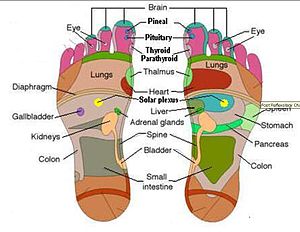 Why You Should Study Reflexology? | The Reflexology Coach